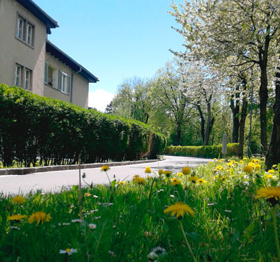 Direkt am Sillradweg finden Sie unsere Praxis